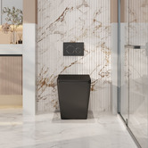 Nueva Bathware Enox Rimless Wall Faced Toilet Pan