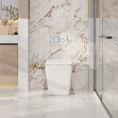 Nueva Bathware Enox Rimless Wall Faced Toilet Pan
