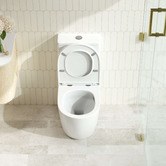 Nueva Bathware Delilah Back to Wall Toilet Suite