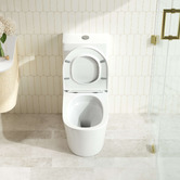 Nueva Bathware Finn Back to Wall Toilet Suite