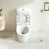 Nueva Bathware Windsor Back to Wall Toilet Suite