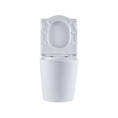 Nueva Bathware Windsor Back to Wall Toilet Suite
