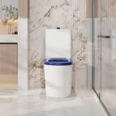 Nueva Bathware Palma Back to Wall Toilet Suite
