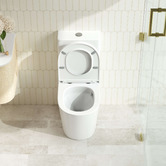 Nueva Bathware Riviera Back to Wall Toilet Suite