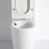 Nueva Bathware Waverley Back to Wall Toilet Suite