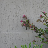 Stick on Tiles Australia Travertine Look Stick on Tile
