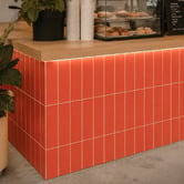 Stick on Tiles Australia Peel &amp; Stick Matte Orange Subway Stick on Tile (24 Pack)