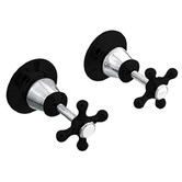 Bianka 2 Piece Noosa Brass Wall Top Assembly Set