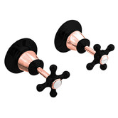 Bianka 2 Piece Noosa Brass Wall Top Assembly Set