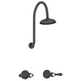 Bianka Augustine Round Gooseneck Shower Tap Set
