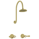 Bianka Augustine Round Gooseneck Shower Tap Set
