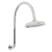 Bianka Augustine 220mm Gooseneck Shower Arm &amp; Head