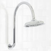 Bianka Augustine 220mm Gooseneck Shower Arm &amp; Head