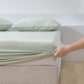 Aldrin Home Cotton Sateen Fitted Sheet Set