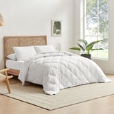 Aldrin Home Raleigh Hypoallergenic Cotton Winter Quilt