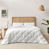 Aldrin Home Raleigh Hypoallergenic Cotton Winter Quilt