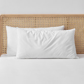 Aldrin Home Raleigh Hypoallergenic Cotton King Pillows