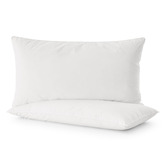 Aldrin Home Raleigh Hypoallergenic Cotton King Pillows