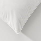 Aldrin Home Raleigh Hypoallergenic Cotton Low Profile Standard Pillows