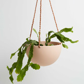 Elementa Living Dome Hanging Planter