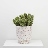 Elementa Living Banjo Terrazzo Plant Pot