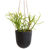 Elementa Living Block-Style Resin Hanging Planter