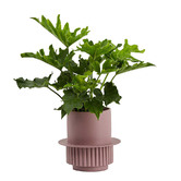 Elementa Living Roma Resin Plant Pot