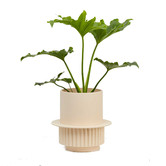 Elementa Living Roma Resin Plant Pot