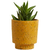 Elementa Living Banjo Terrazzo Plant Pot