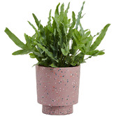 Elementa Living Banjo Terrazzo Plant Pot