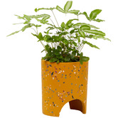 Elementa Living 13cm Archie Terrazzo Plant Pot