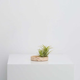 Elementa Living Terrazzo Decorative Tray