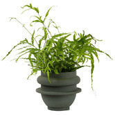 Elementa Living Bud Resin Planter