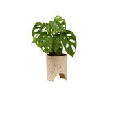 Elementa Living 13cm Archie Terrazzo Plant Pot