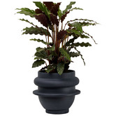 Elementa Living Bud Resin Planter