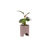 Elementa Living 13cm Archie Terrazzo Plant Pot