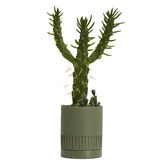 Elementa Living Etched Plant Pot