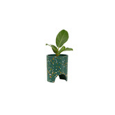 Elementa Living 13cm Archie Terrazzo Plant Pot