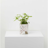 Elementa Living 13cm Archie Terrazzo Plant Pot