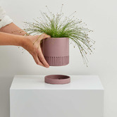Elementa Living Etched Plant Pot