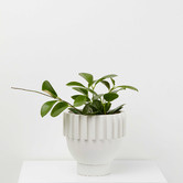 Elementa Living Solstice Resin Planter
