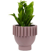 Elementa Living Solstice Resin Planter