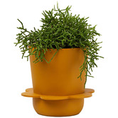 Elementa Living Spring Resin Plant Pot