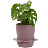 Elementa Living Spring Resin Plant Pot
