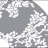 OMVIVO Pebble Motif 504mm Above Counter Basin with Etched Glass Base