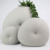 Living Green Decor White Mollusc Oceania Vase