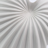 Living Green Decor White Spiral Oceania Vase