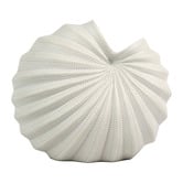 Living Green Decor White Spiral Oceania Vase