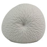 Living Green Decor White Rippled Mollusc Oceania Vase