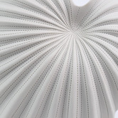 Living Green Decor White Spiral Oceania Vase